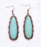 Long Oval Stone Earrings